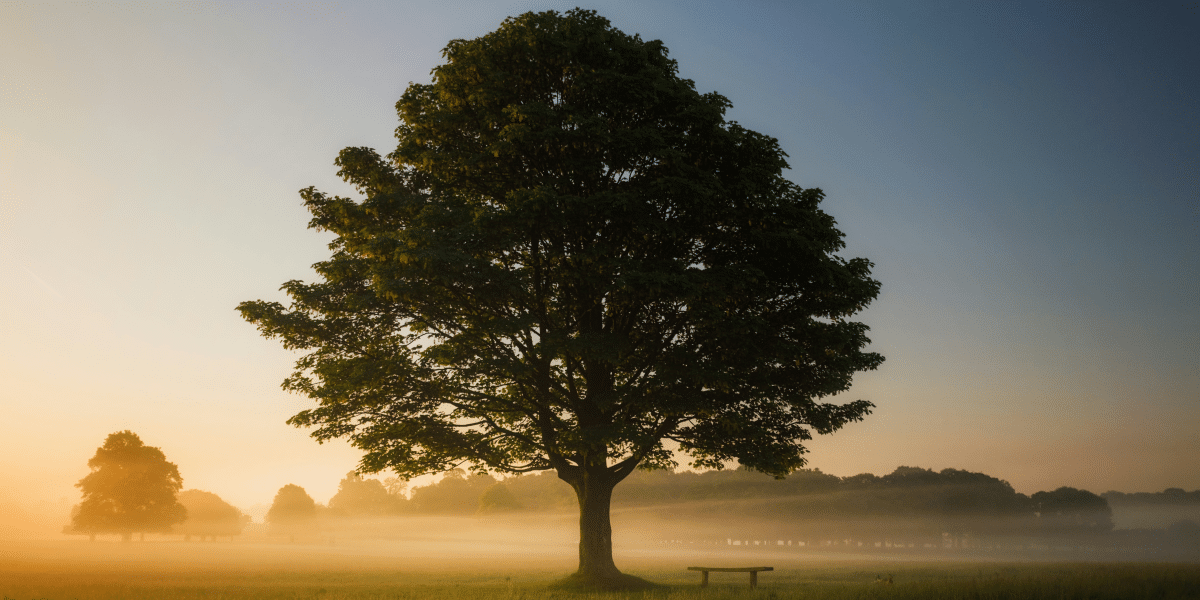 Monastic Academy Approach to Education Community Building