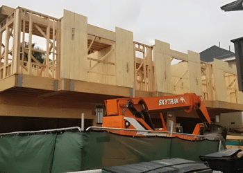 Pinnacle Development Renovation's Vision