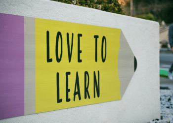 Pursuing a Career in Special Education: What To Expect