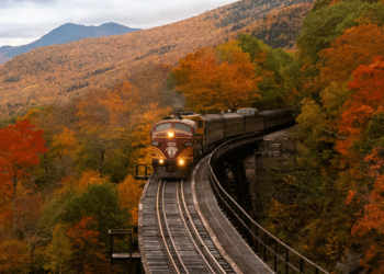 Reasons to go for the Canadian Train