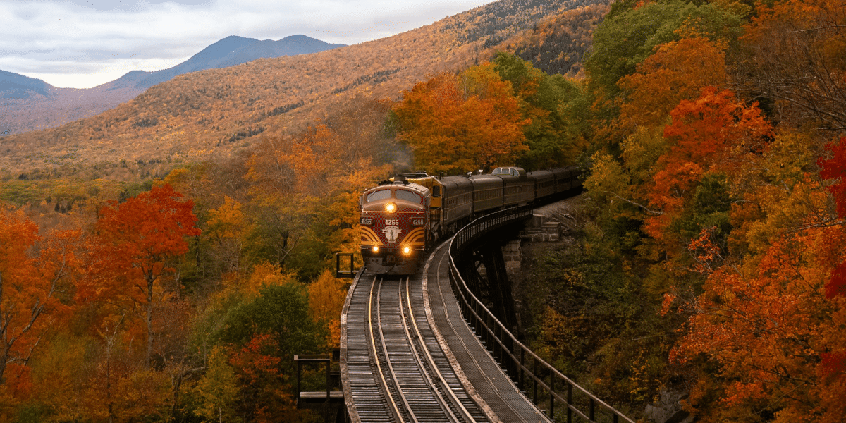 Reasons to go for the Canadian Train