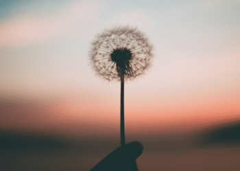 Techniques for Managing an Anxiety Spiral