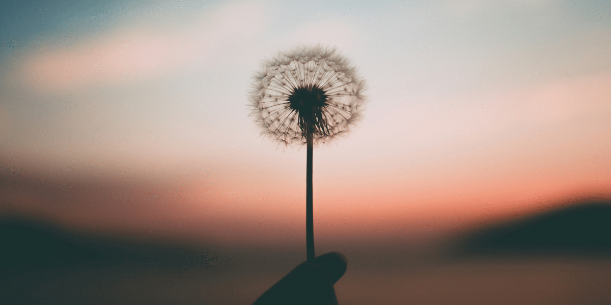 Techniques for Managing an Anxiety Spiral