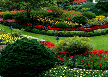 The Significance of Sustainable Landscaping in Houston
