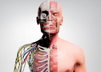 Veyond Metaverse: Pioneering 5D XR for Global Medical Education