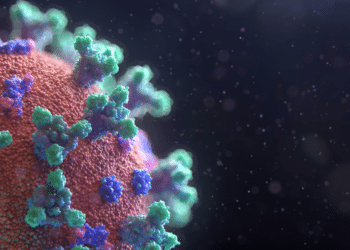 Virus vs. Cancer: Exploring Oncolytic Therapy