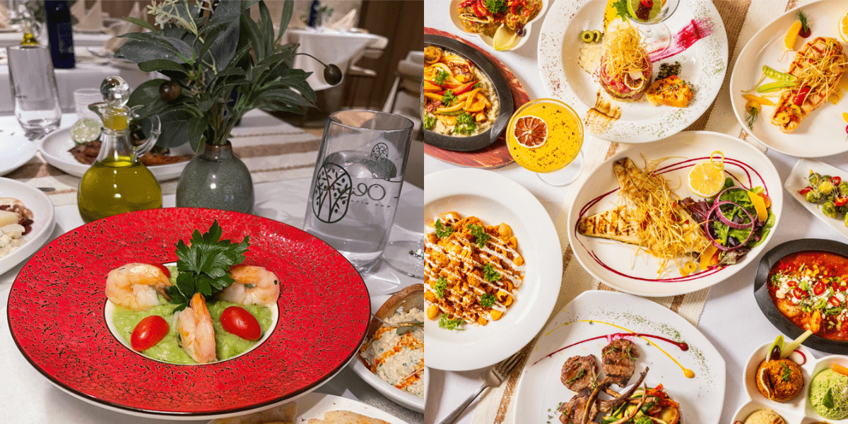 White Olive Welcomes New Executive Chef Halil Okutan