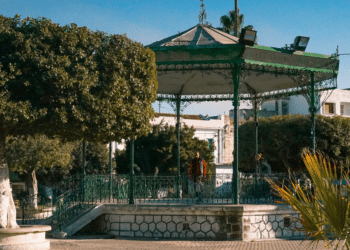 3 Smart Hacks for Solving Erosion Issues in Your Backyard