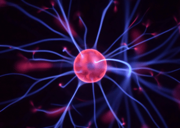 Benefits of Stem Cells for Immune Health