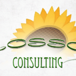 Blossom Consulting Empowering Authors with Expert Guidance