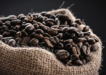 Coffee Bean Gourmet Experience Fresh, High-Quality Coffee