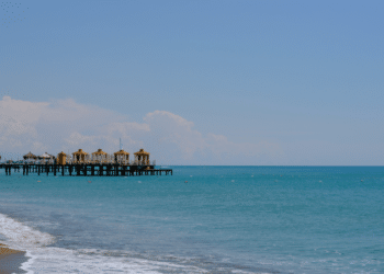 Explore Florida's Premier Beach Towns for Your Dream Home