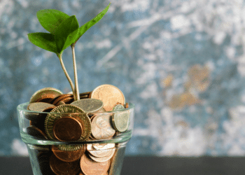 Financial Struggle in the US- A Growing Crisis Unveiled