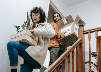 Guide to Relocating Plants Across States Safely