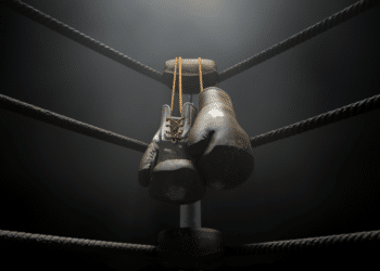 Hayabusa Pro Boxing Shoes