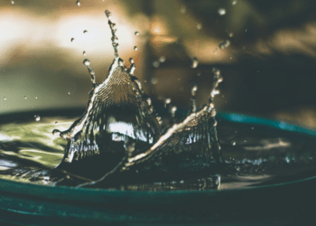 How to Use Water Transfer Printing to Personalize Home Decor