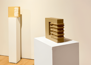 Liang Zhang The Confluence of Art, Nature, and Humanity