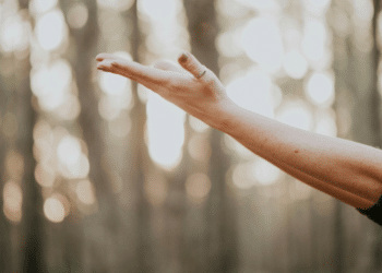 Melaleuca- The Heart of Wellness and Community