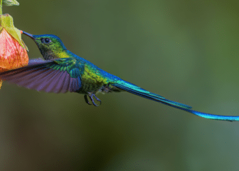 Painting Happiness The Therapeutic Power of DIY Art