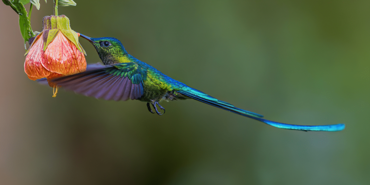 Painting Happiness The Therapeutic Power of DIY Art