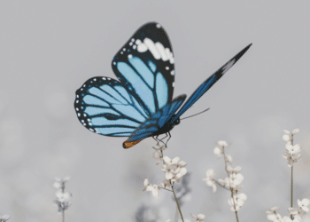 Sparkle More, Stress Less with Diamond Painting