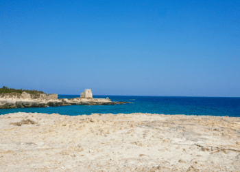 Summer Photography with Mirrorless Cameras A Complete Guide