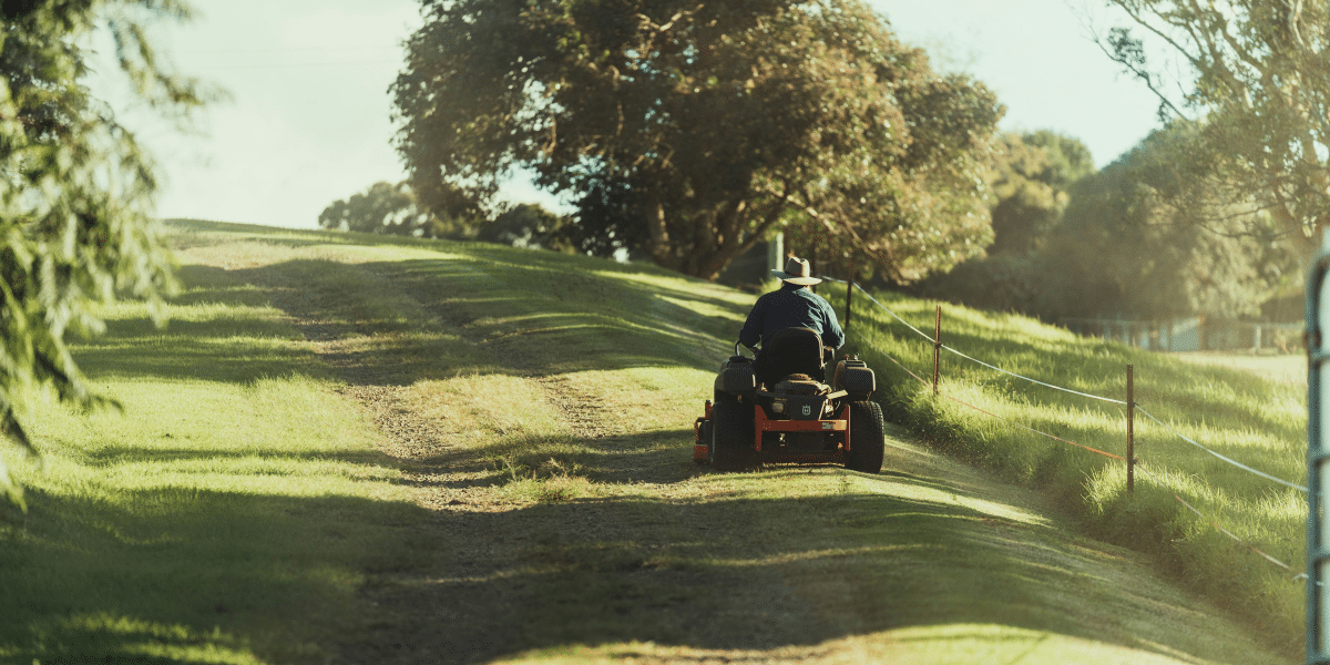 Tips for Choosing a Lawn Mower to Fit Your Lawn's Needs