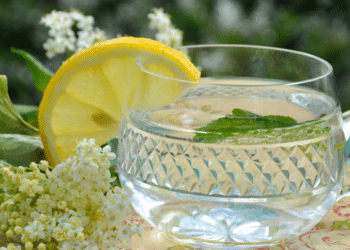 Unlock Elderberry Benefits: Boost Health & Immunity