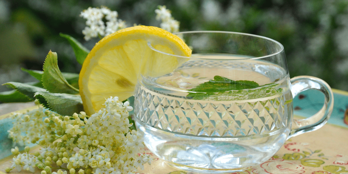 Unlock Elderberry Benefits: Boost Health & Immunity