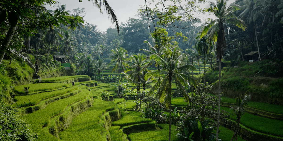 Unveiling Bali Dreams with Golden Pearl Real Estate