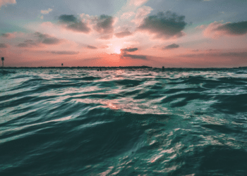 What Are You Looking For in a Support Yacht?