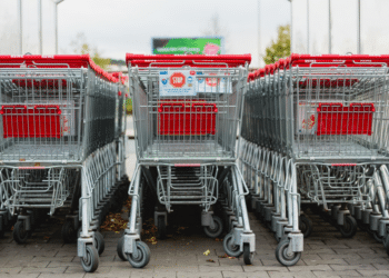 Wholesale Connection: Mastering the Market Landscape