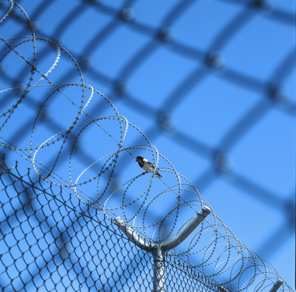 Concertina Wire: Manufacturing Process and Uses Explained