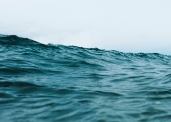 Embracing Life's Challenges: The Inspirational Journey of Daffany Nance