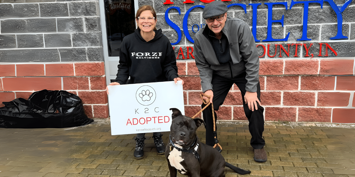 From Rocky's Love to Kennel to Couch Healing and Hope