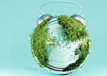 Global Impact of the CSRD on Corporate Transparency