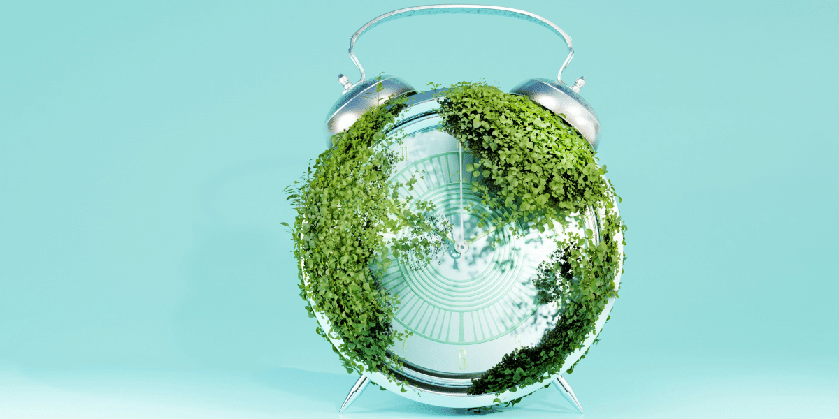 Global Impact of the CSRD on Corporate Transparency