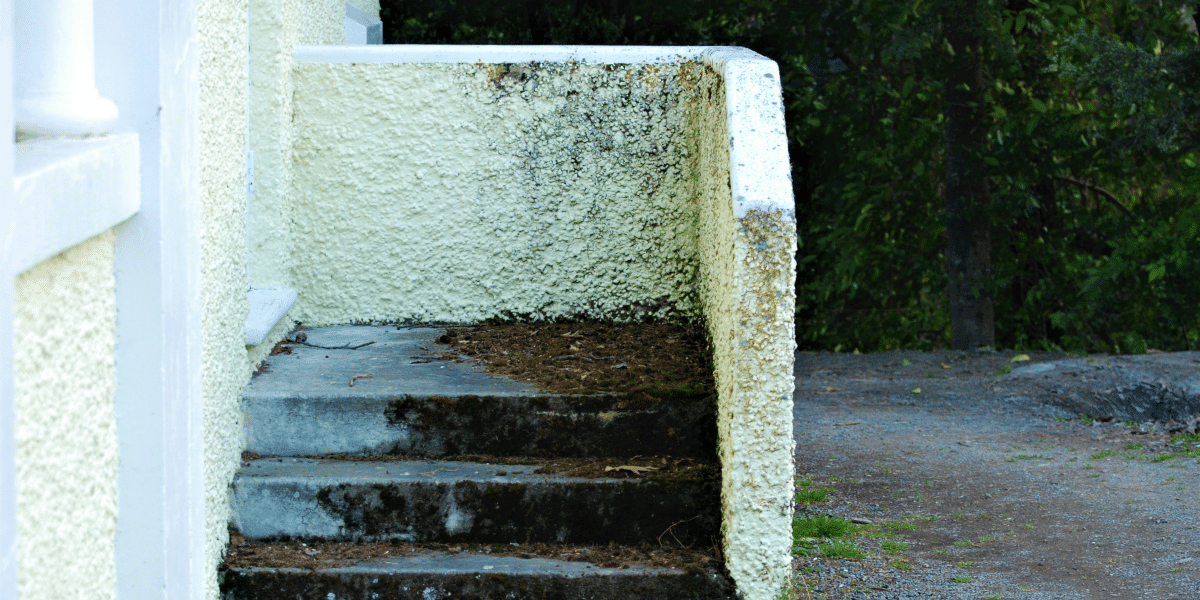 How to Tell If You Need a Mold Inspection