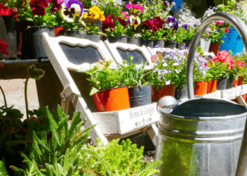 Innovative Gardening Ideas for Small Backyards