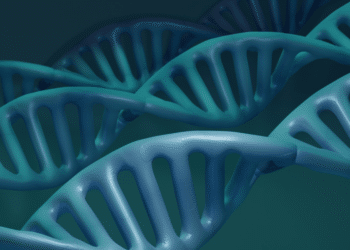 Nature vs. Nurture Exploring How Family Traits Shape Our Identities