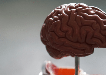 Neuroplasticity: Overcoming Chronic Illness with re-origin