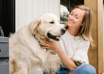 Pet Genie An Important Tool for Pet Caretakers