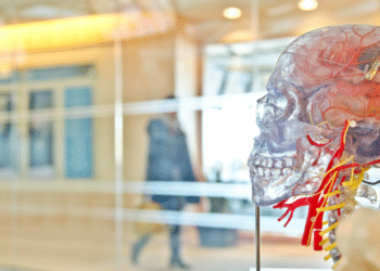 Reflecting on David Vetter Ethical Lessons from the Bubble Boy