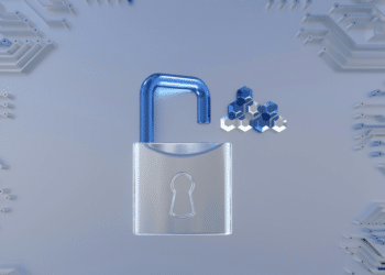 Securing Your Domain Name Ensuring Domain Protection
