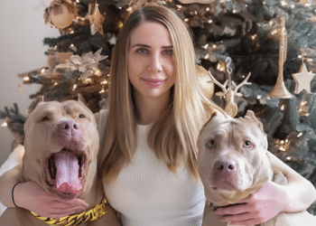 Swag Kennels- Raising the Bar in American Bully Breeding