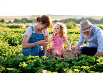 Teaching Children About Farm Life Through Play