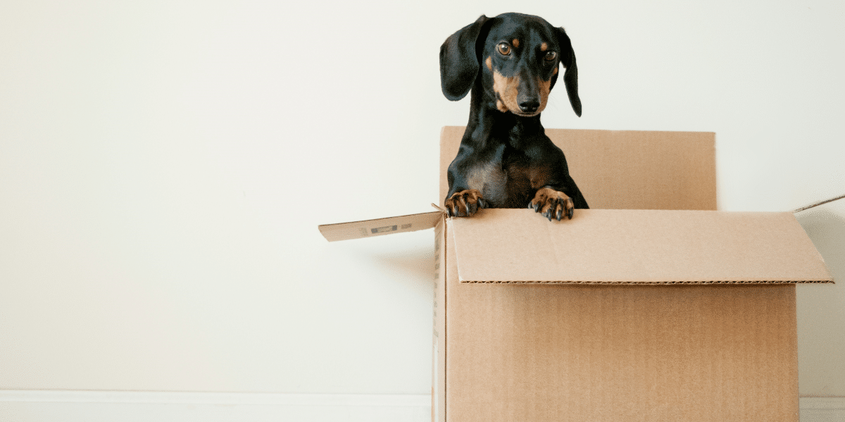 The Ultimate Long-Distance Moving Checklist