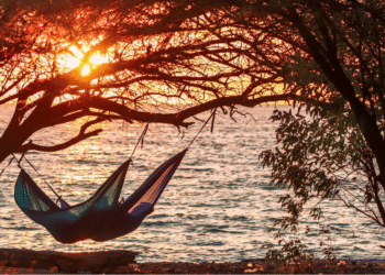 Unlock Your Potential with Self-Love: Insights from Finding Mo