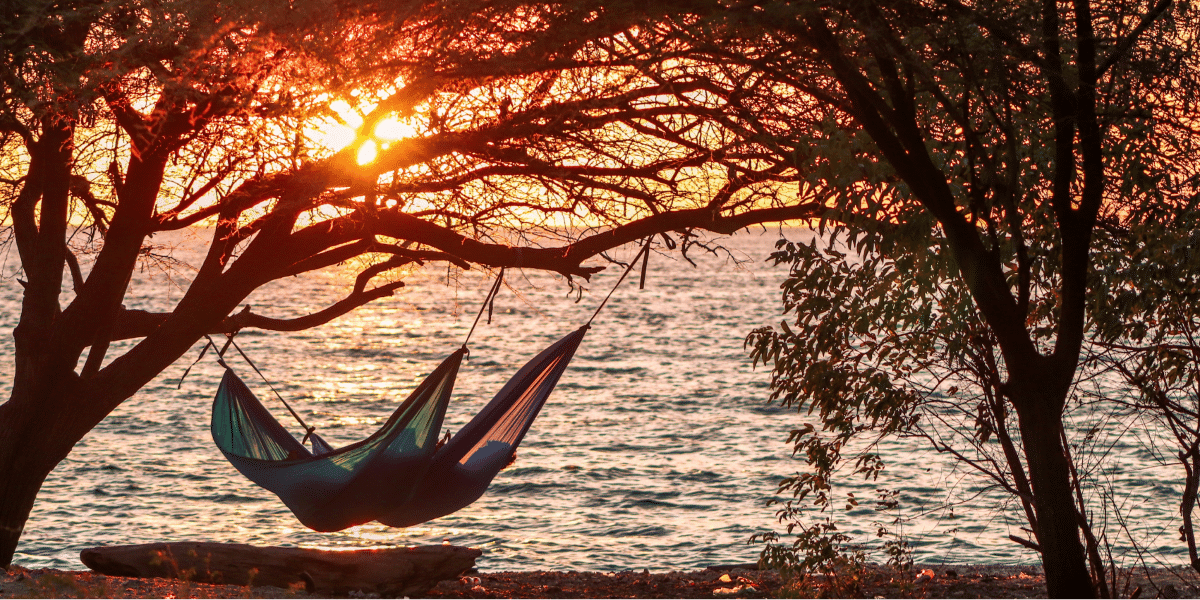 Unlock Your Potential with Self-Love: Insights from Finding Mo