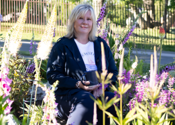 Zippy's Journey- Tiny Hummingbird's True Adventure